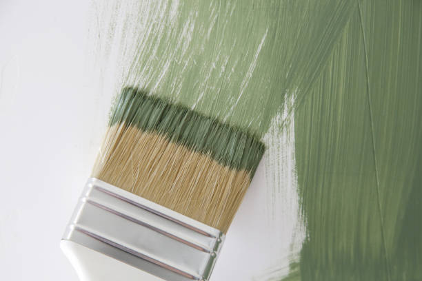 Professional Mold Removal in Onalaska, WI