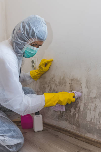 Best Indoor Air Quality Assessment  in Onalaska, WI