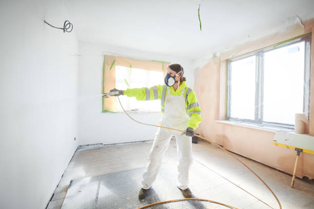 Best Asbestos and Lead Testing During Mold Inspection  in Onalaska, WI