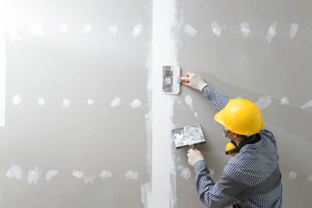 Best Black Mold Removal  in Onalaska, WI