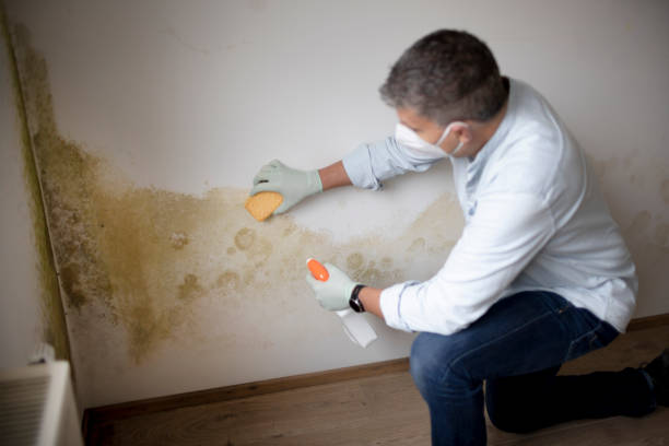 Best Biohazard Mold Removal  in Onalaska, WI