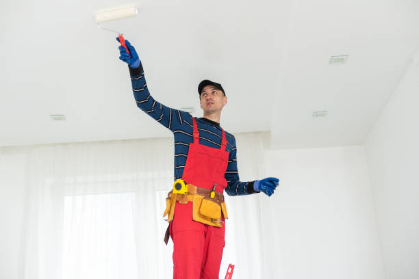 Best Forensic Mold Investigation  in Onalaska, WI