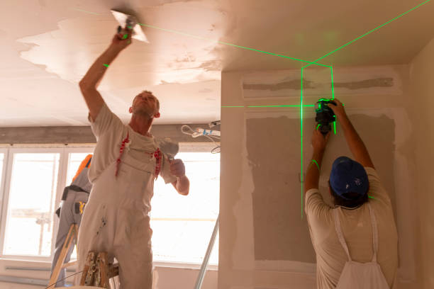Best Mold Removal for HVAC Installations  in Onalaska, WI