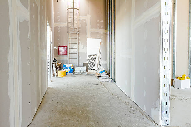 Best Mold Prevention Services  in Onalaska, WI